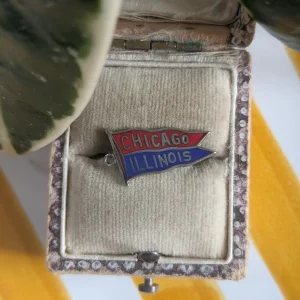 Vintage Chicago Illinois Charm