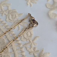 Antique Fancy Link Rolled Gold Albert Watch Chain - Image 6