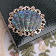 Vintage Sterling Silver Abalone Paua Shell Brooch