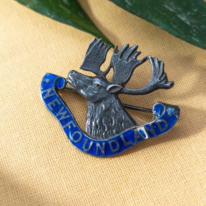 Vintage Silver Newfoundland Brooch Pin Enamel