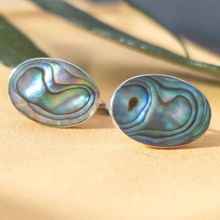 Vintage Sterling Silver Abalone Shell Screw Back Earrings