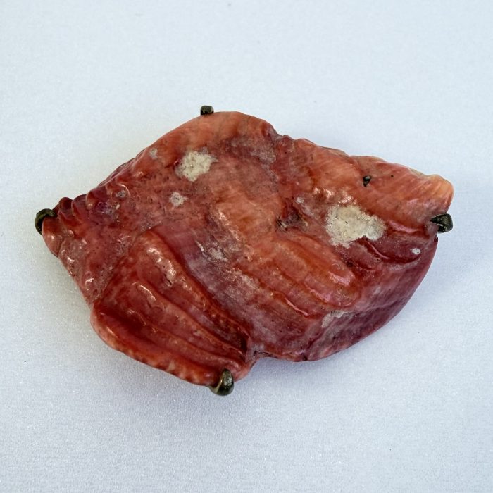 Antique Orange Coral Shell Brooch Natural Piece - 2